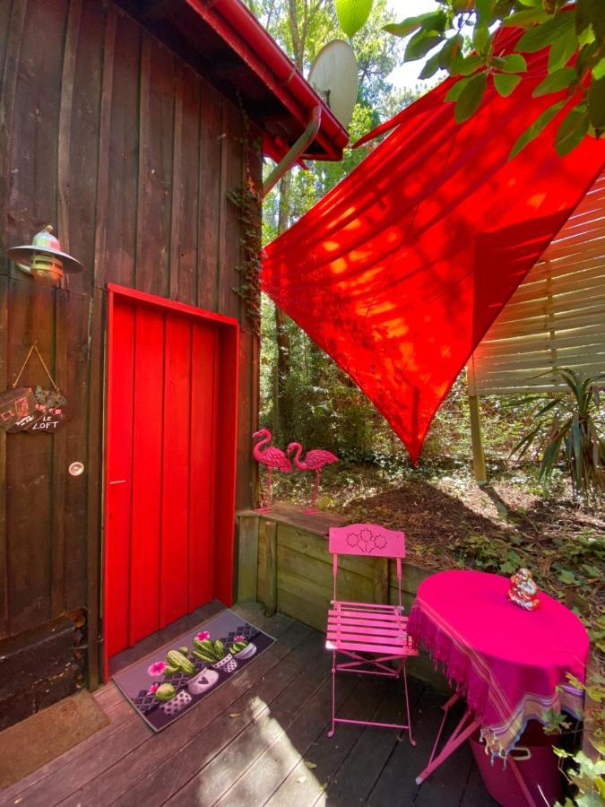 Le Loft Au-Dessus Des Pins Apartamento Lacanau Exterior foto